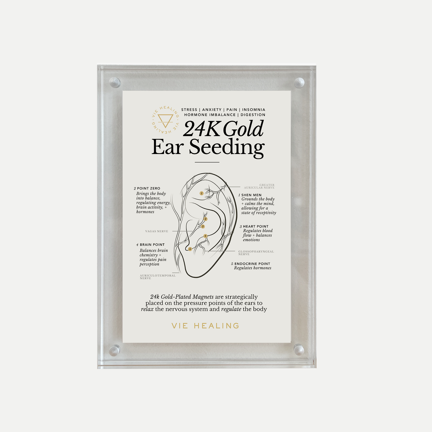 Ear Seeding Frame