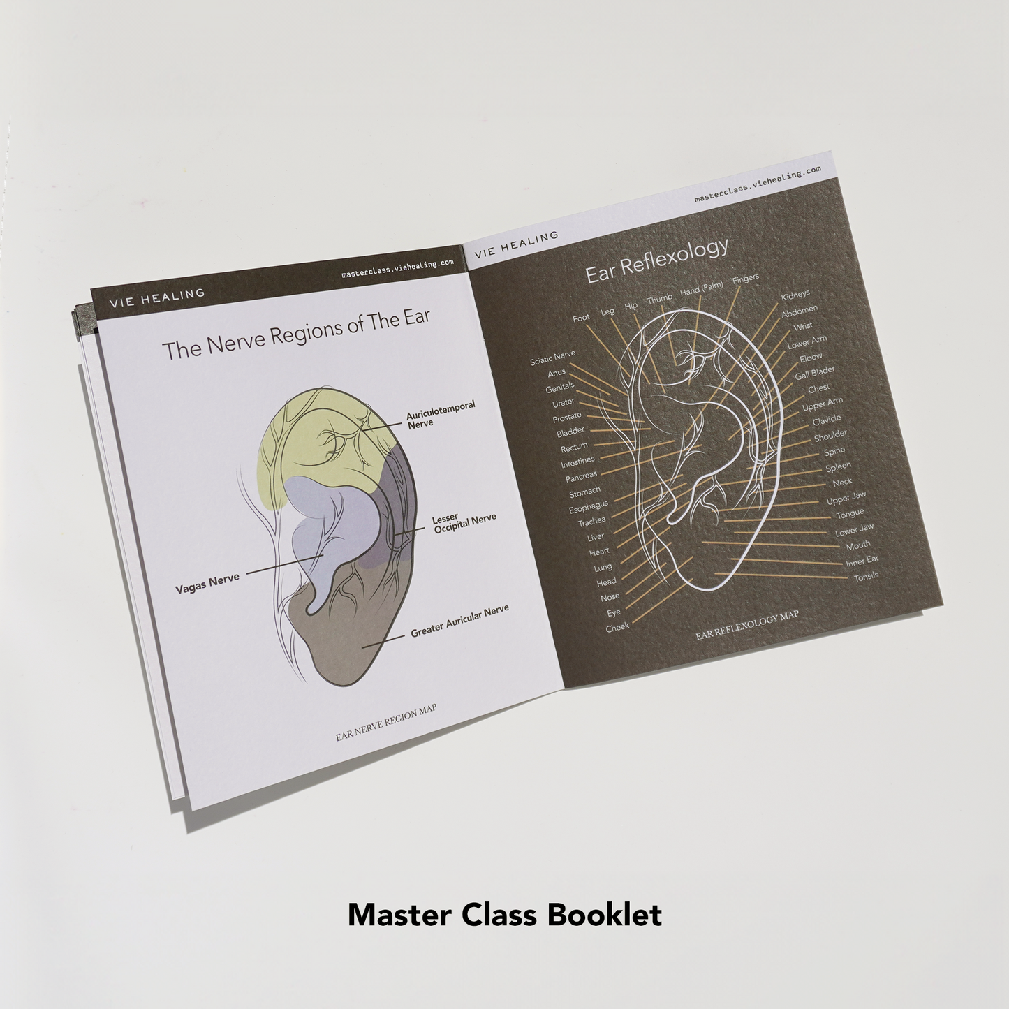 Ear Seeding Master Class Kit