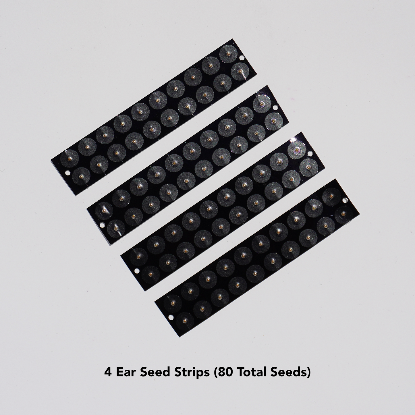 Ear Seeding Master Class Kit
