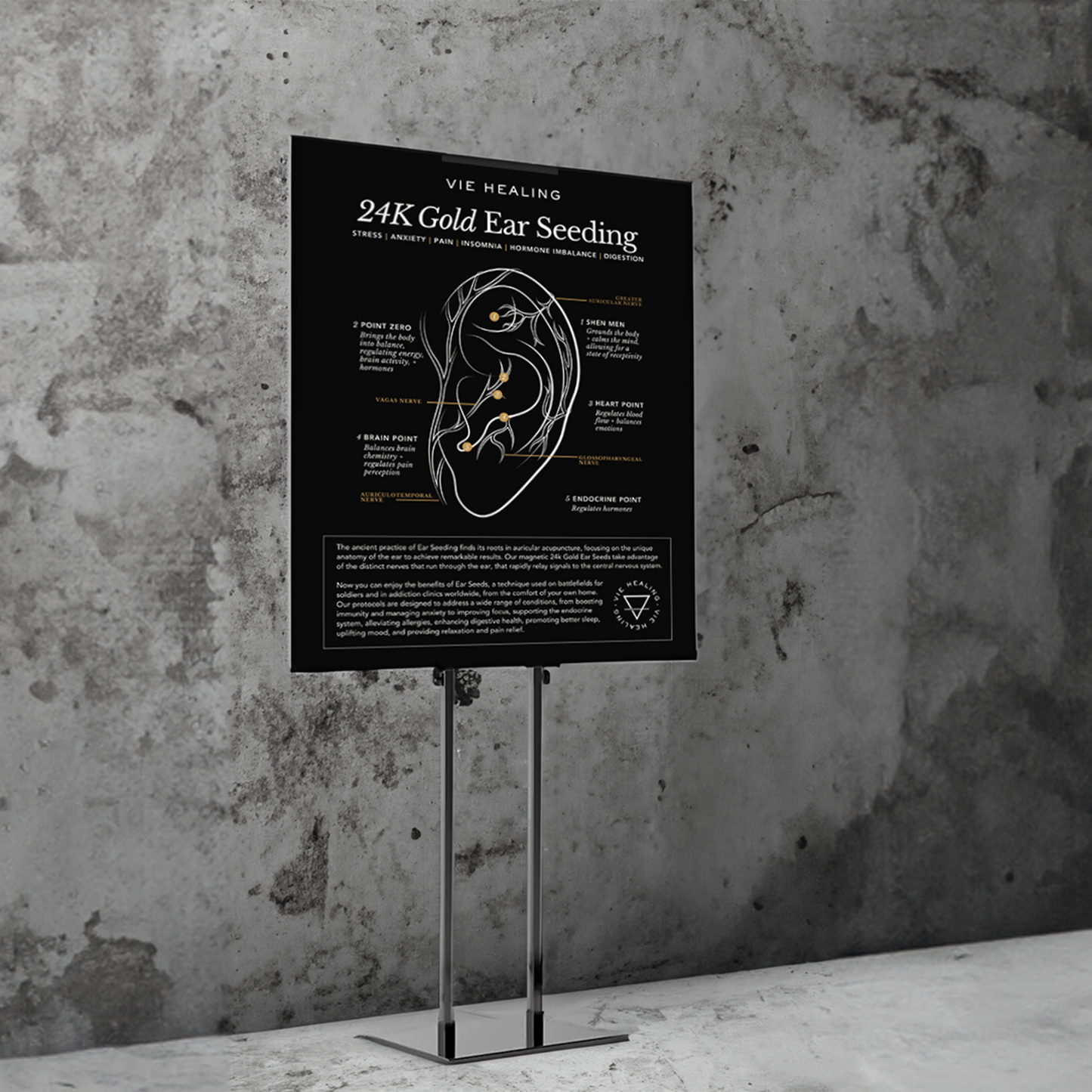 Ear Seeding Display + Stand