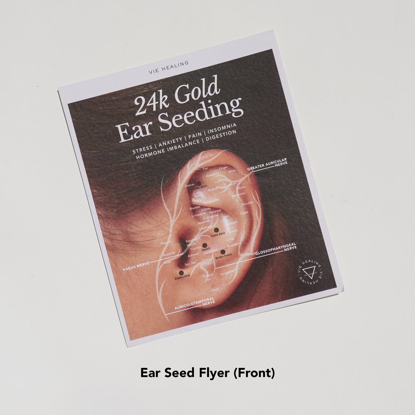 Ear Seeding Master Class Kit