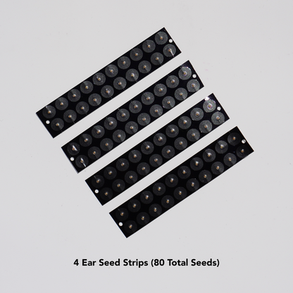Ear Seeding Master Class Kit